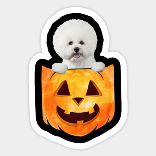 White Bichon Frise Dog In Pumpkin Pocket Halloween Sticker